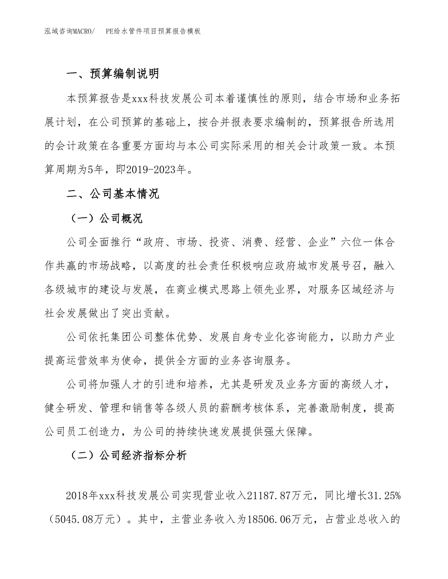 PE给水管件项目预算报告模板.docx_第2页