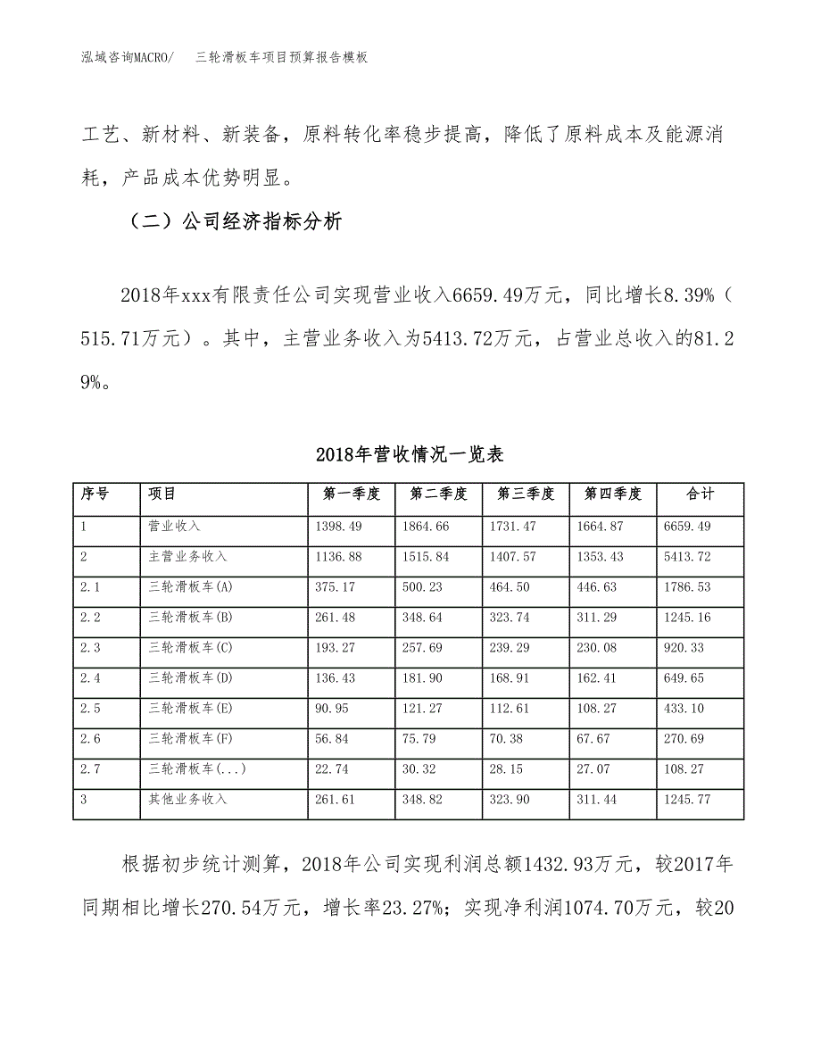 三轮滑板车项目预算报告模板.docx_第3页