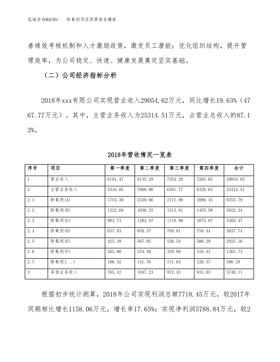 除氧剂项目预算报告模板.docx_第3页