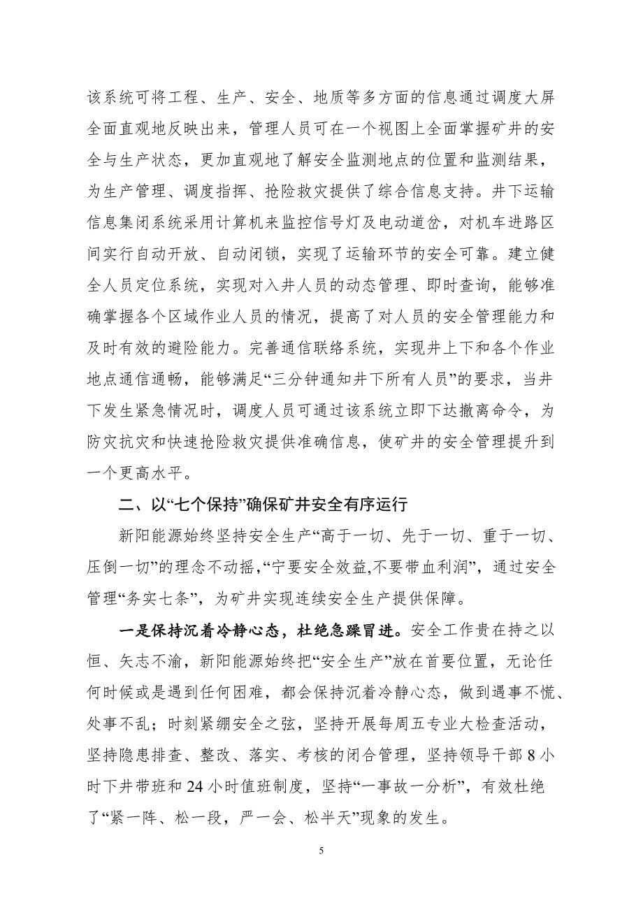 关于山东新阳能源有限公司安全管理模式的调查.doc_第5页