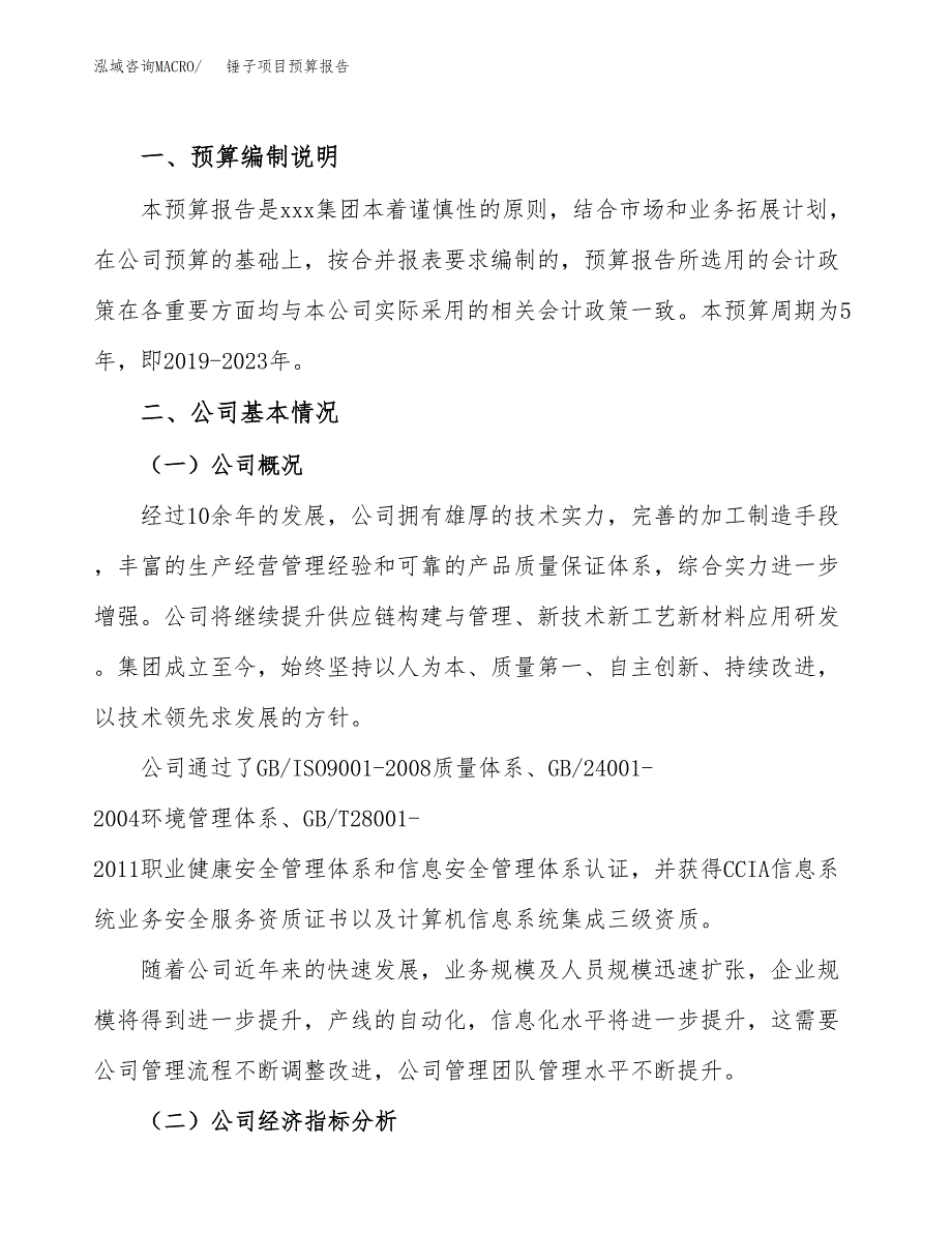 锤子项目预算报告（总投资10000万元）.docx_第2页