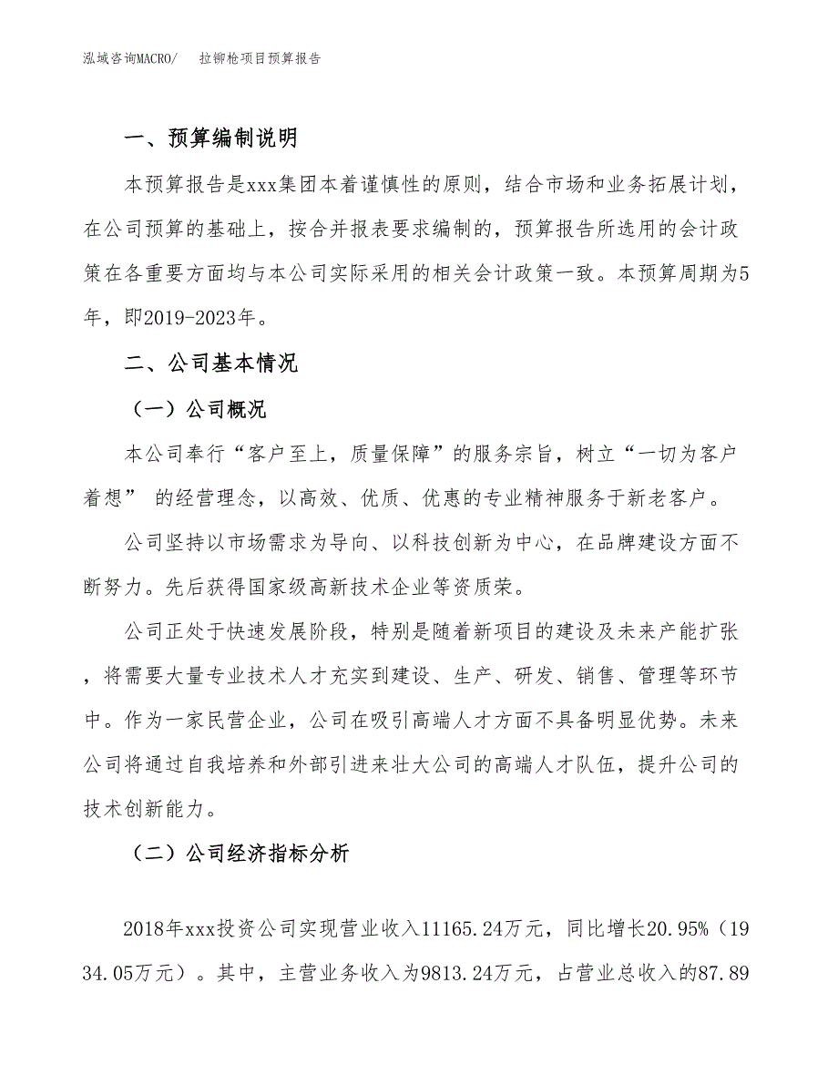 拉铆枪项目预算报告（总投资12000万元）.docx_第2页