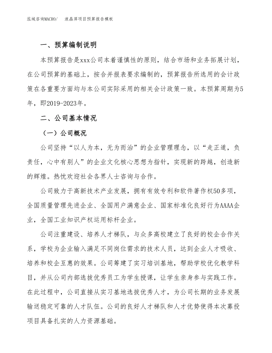 液晶屏项目预算报告模板.docx_第2页