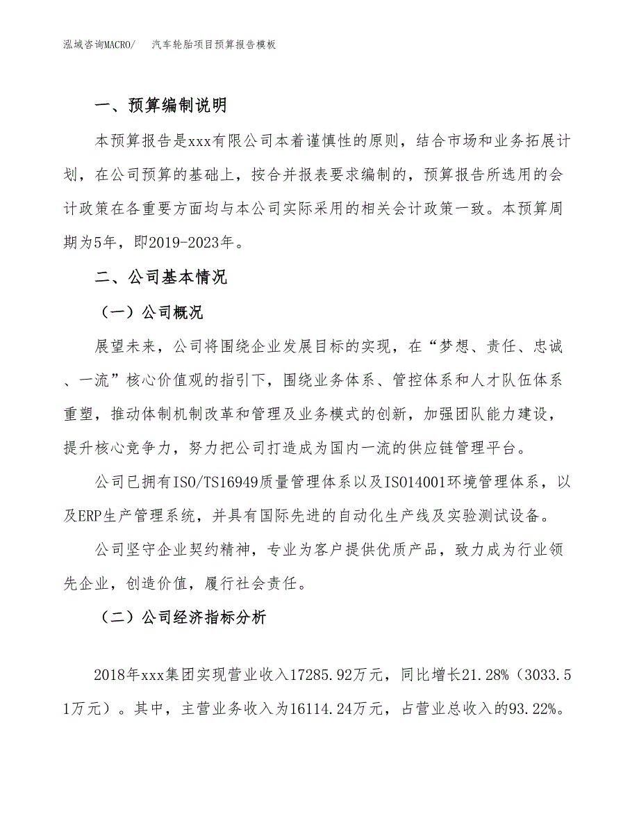 汽车轮胎项目预算报告模板.docx_第2页