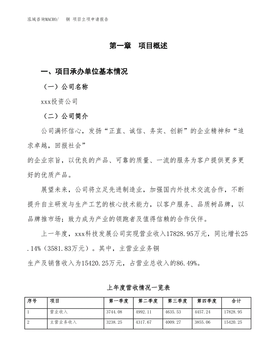 铜 项目立项申请报告（总投资10000万元）_第2页