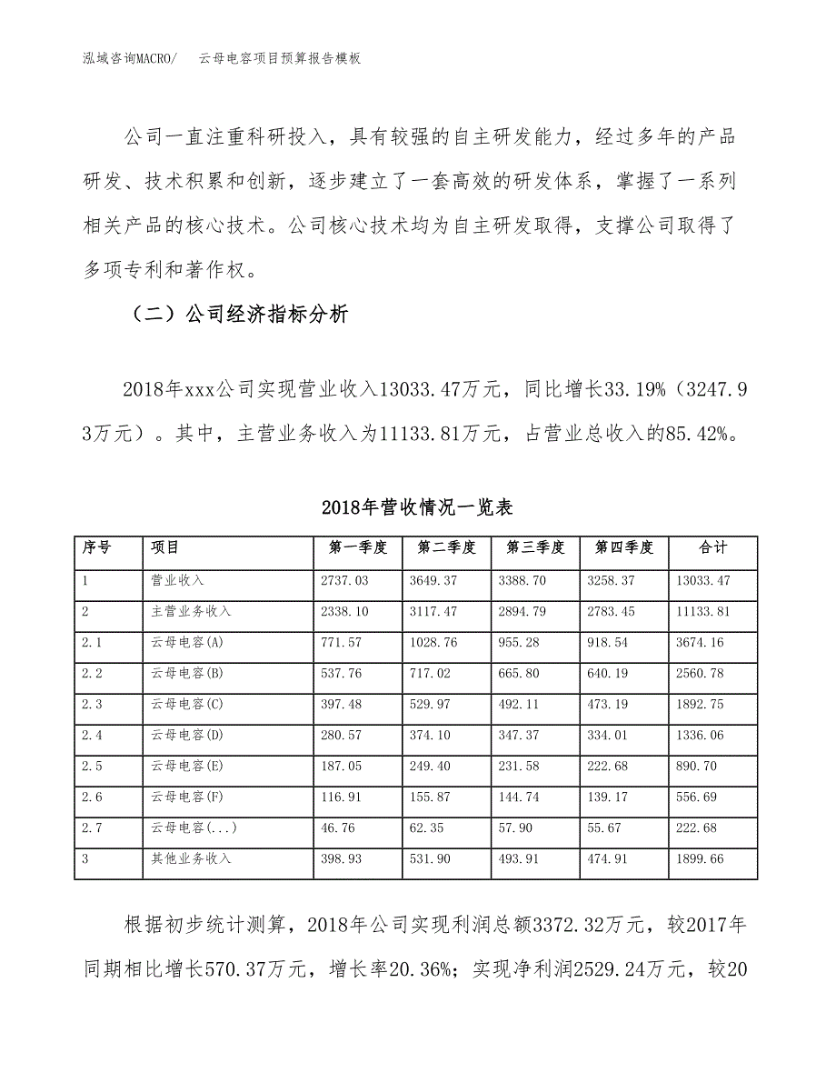 云母电容项目预算报告模板.docx_第3页