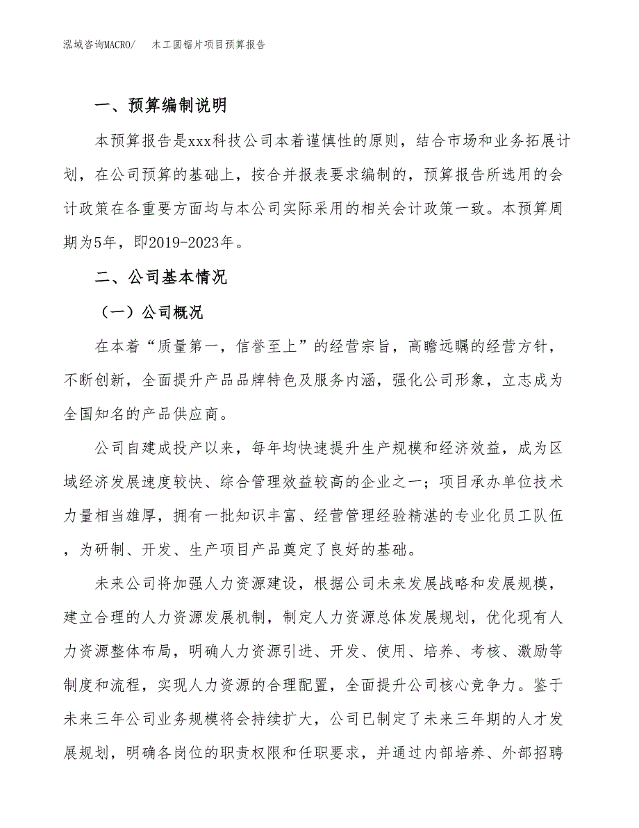 木工圆锯片项目预算报告（总投资4000万元）.docx_第2页