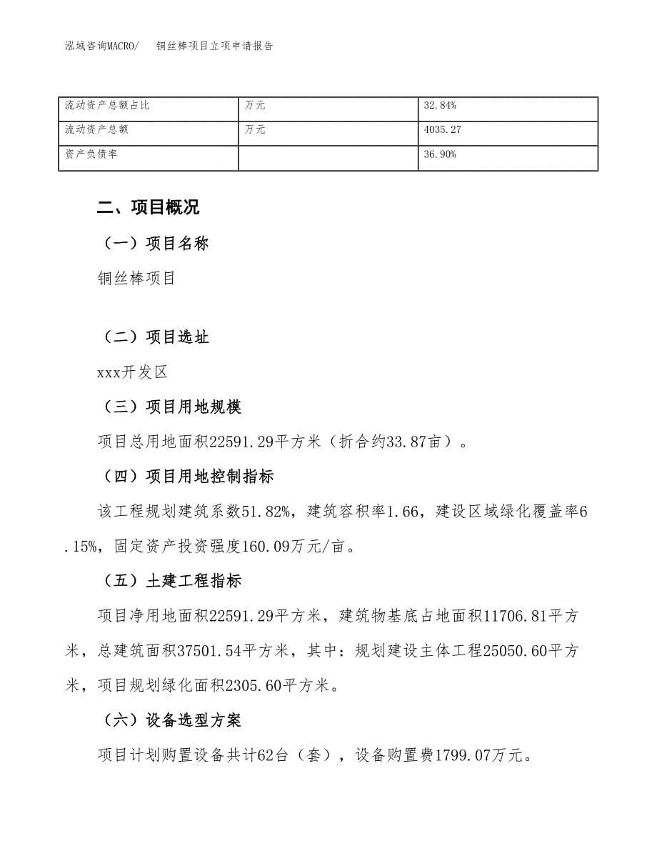 铜丝棒项目立项申请报告（总投资7000万元）_第5页