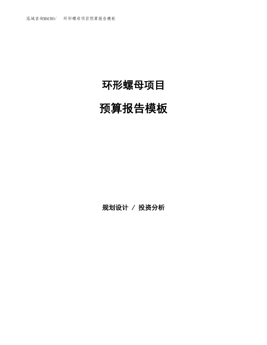 环形螺母项目预算报告模板.docx_第1页