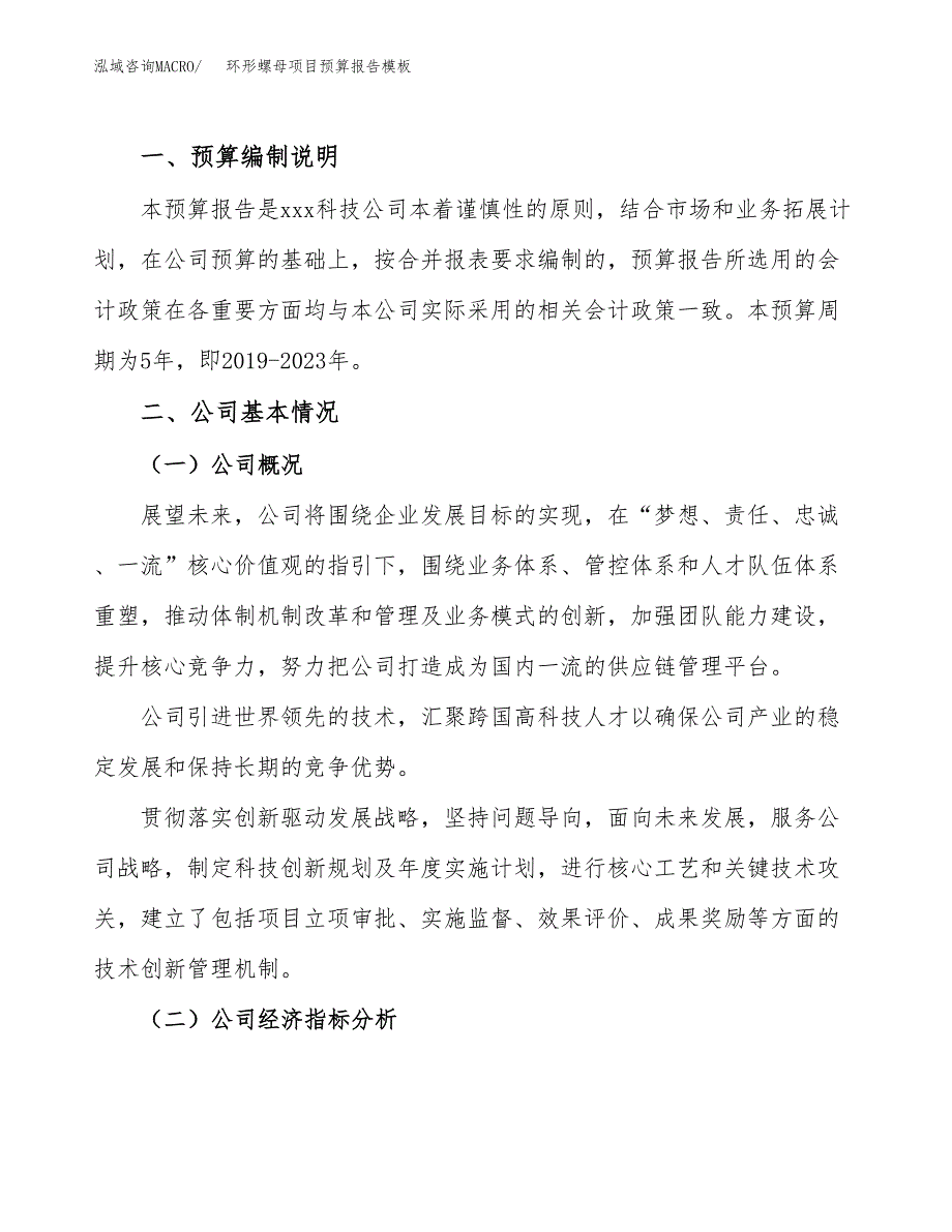 环形螺母项目预算报告模板.docx_第2页