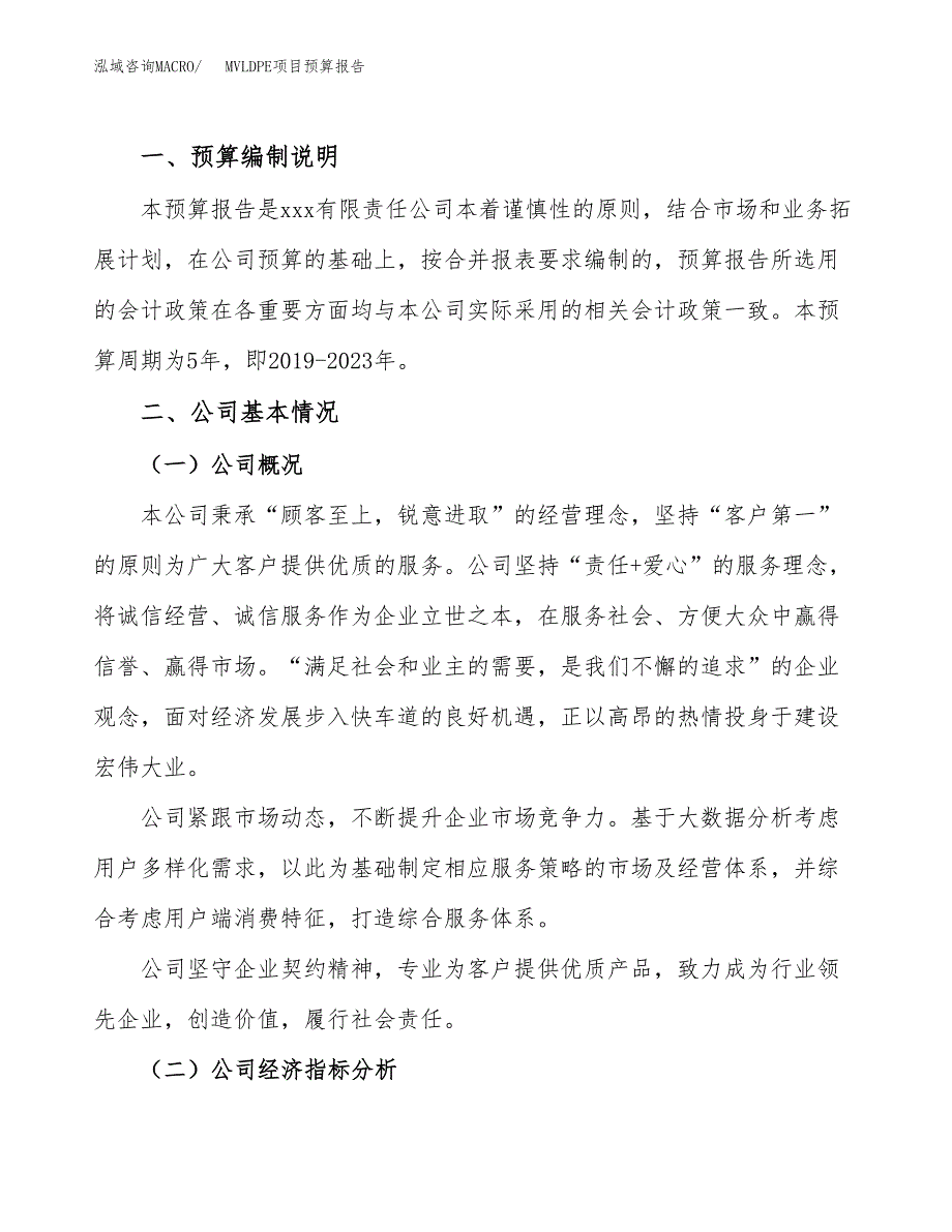 MVLDPE项目预算报告（总投资8000万元）.docx_第2页