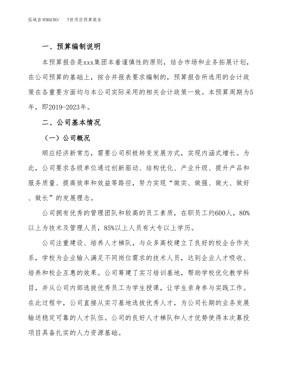 T铁项目预算报告（总投资3000万元）.docx_第2页