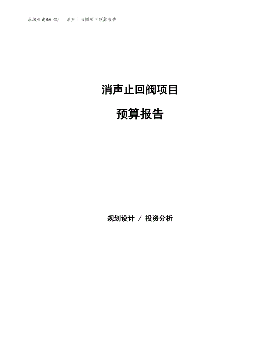 消声止回阀项目预算报告（总投资14000万元）.docx_第1页