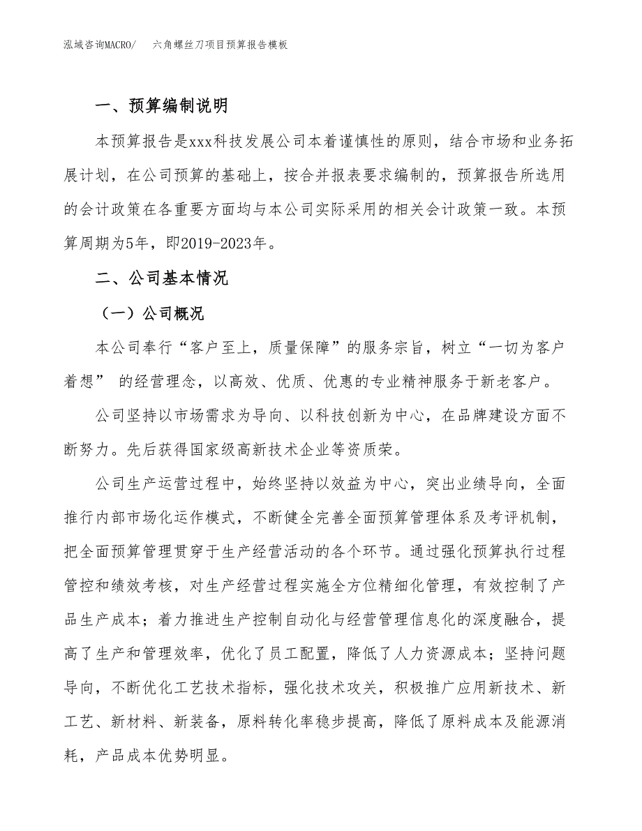 六角螺丝刀项目预算报告模板.docx_第2页