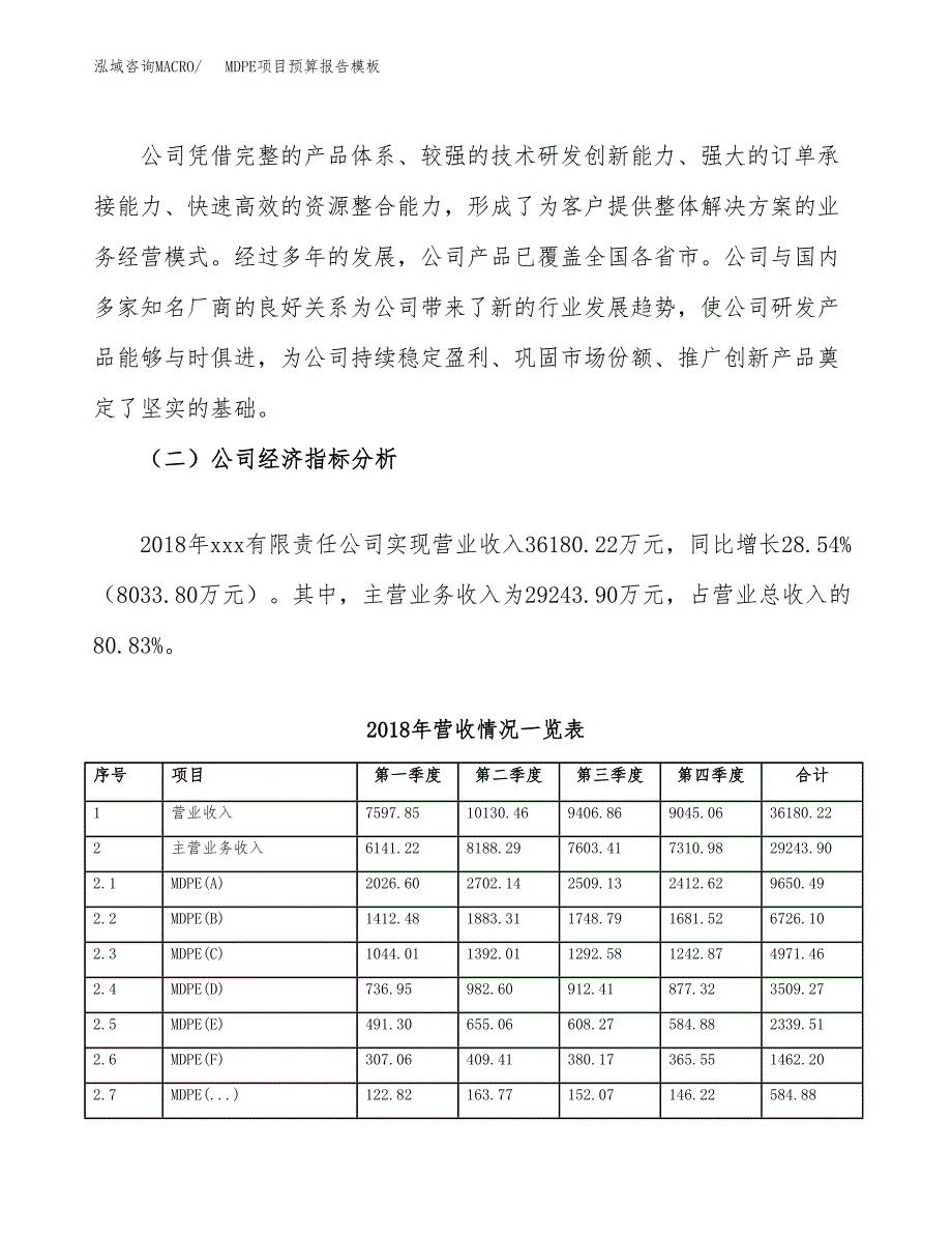 MDPE项目预算报告模板.docx_第3页