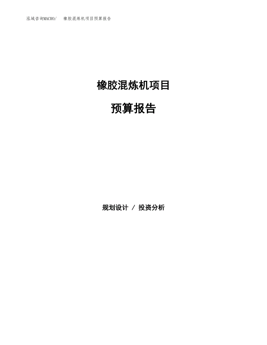 橡胶混炼机项目预算报告（总投资10000万元）.docx_第1页