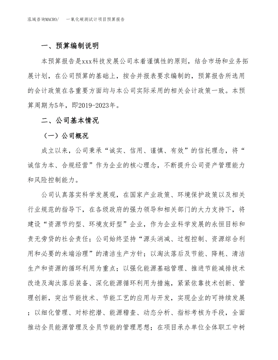 一氧化碳测试计项目预算报告（总投资9000万元）.docx_第2页