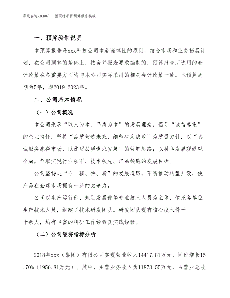 塑顶锤项目预算报告模板.docx_第2页