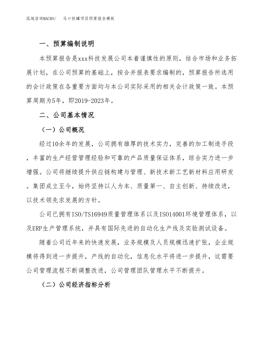 马口铁罐项目预算报告模板.docx_第2页