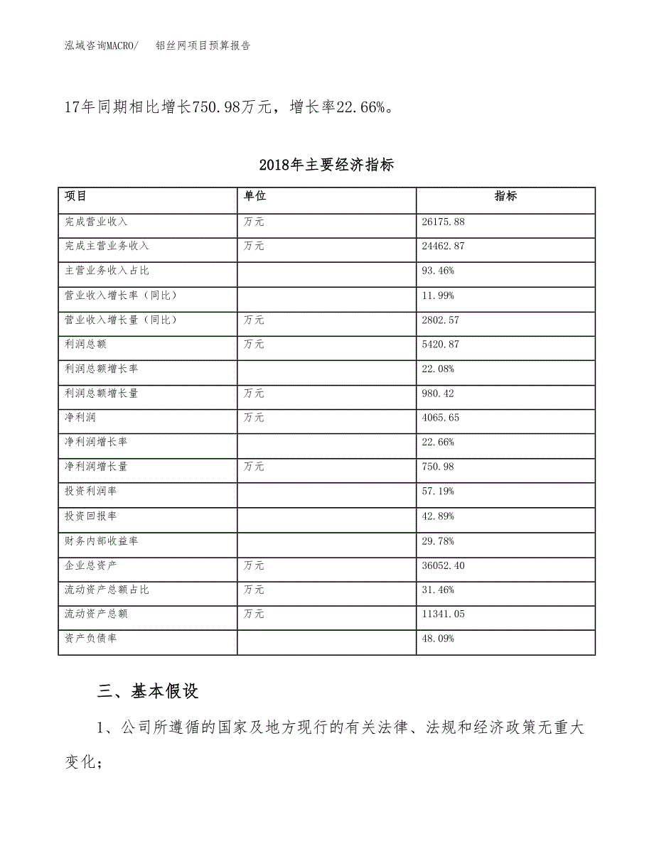 铝丝网项目预算报告（总投资17000万元）.docx_第4页