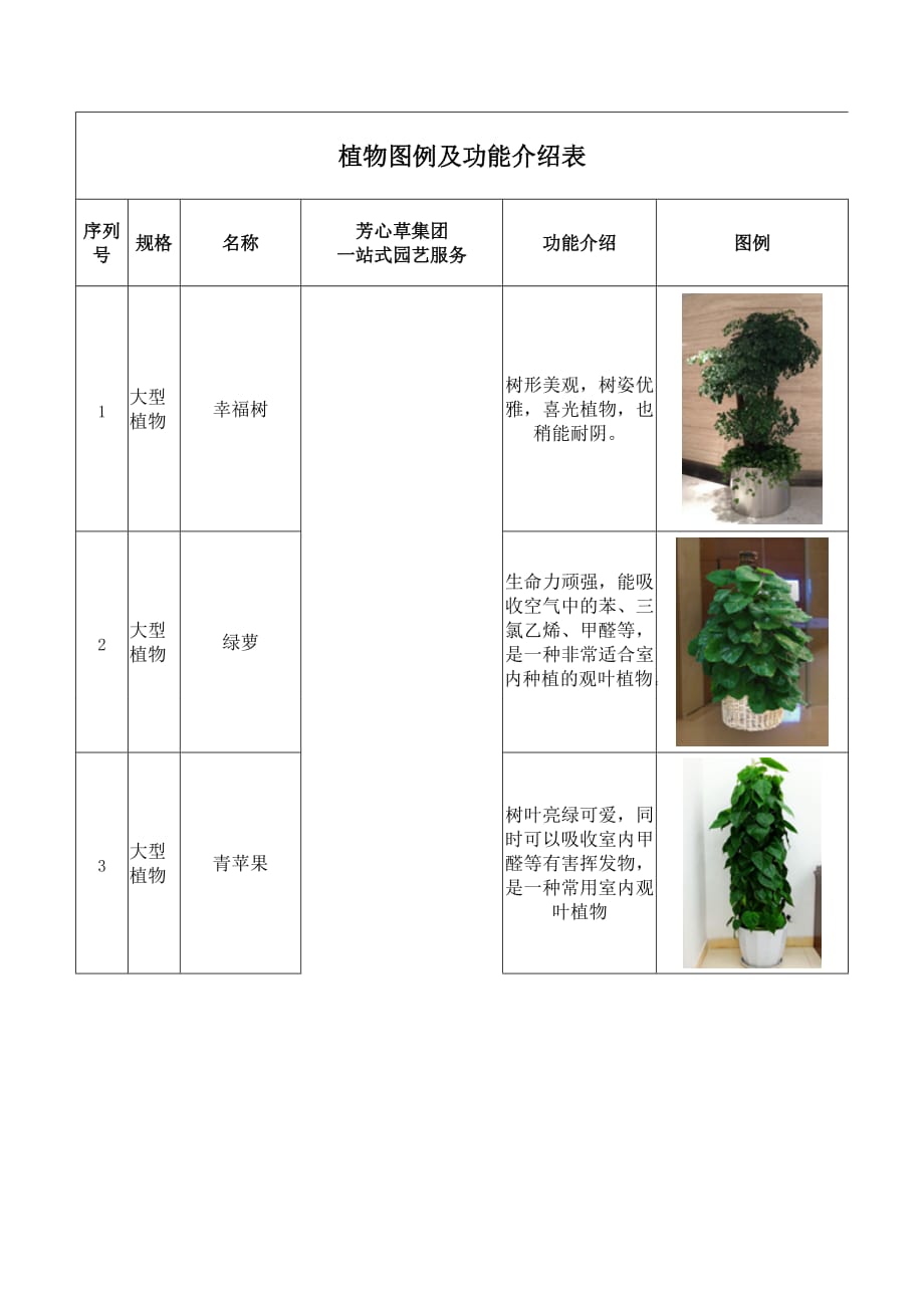 办公室盆栽租摆植物详细介绍_第1页