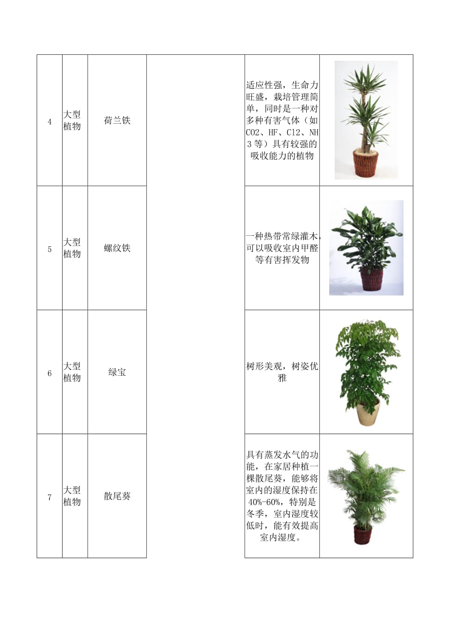 办公室盆栽租摆植物详细介绍_第2页