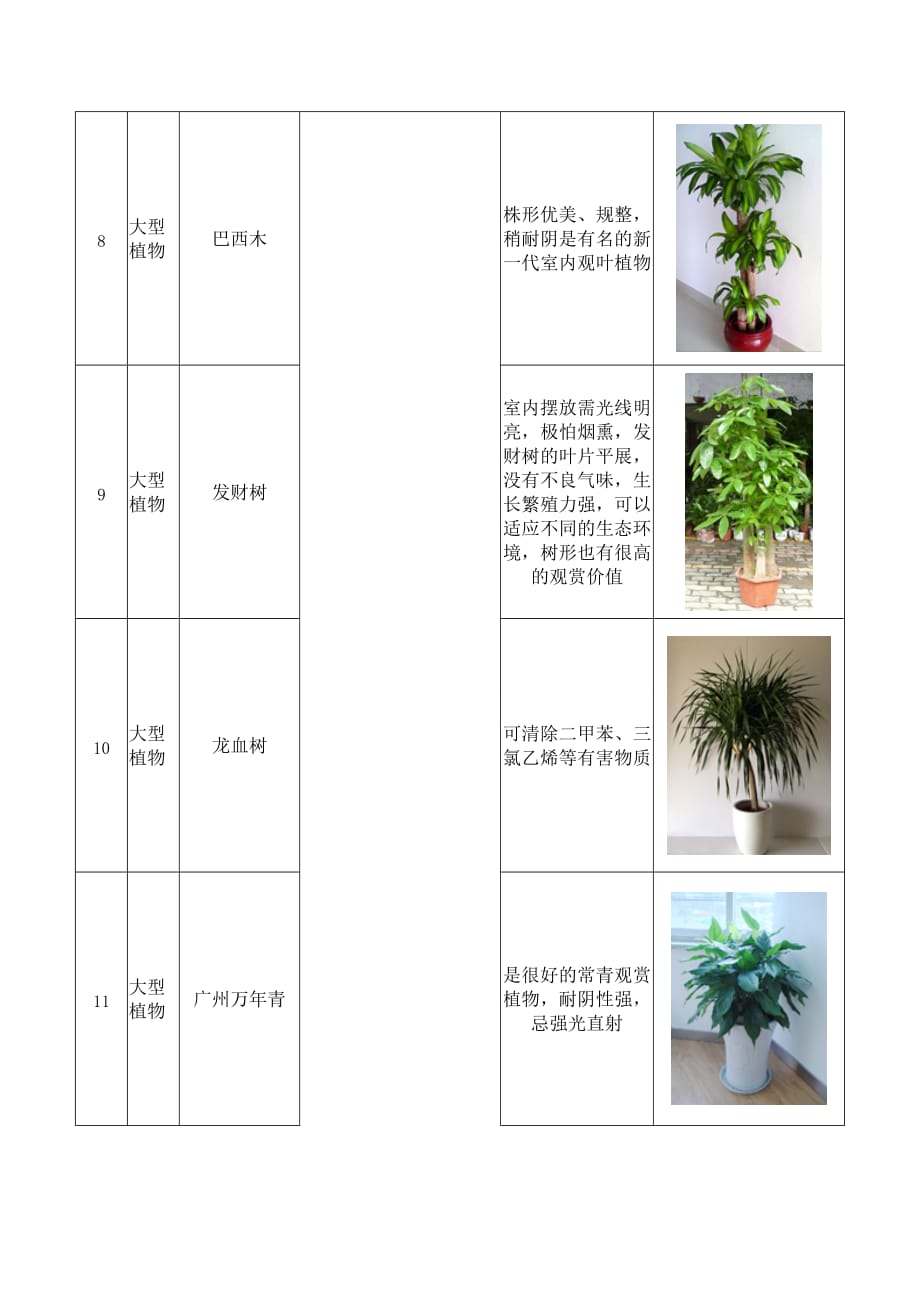 办公室盆栽租摆植物详细介绍_第3页