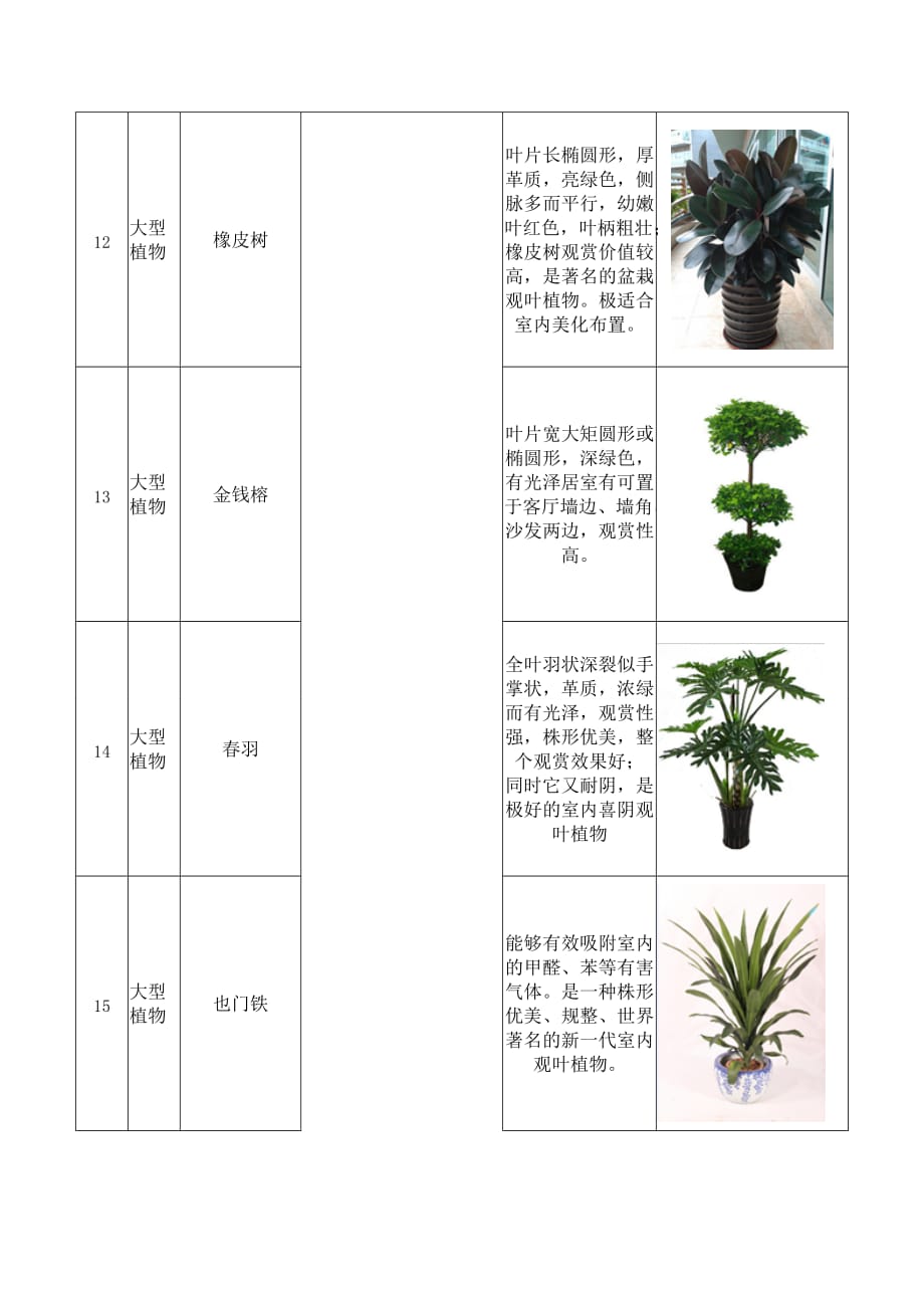 办公室盆栽租摆植物详细介绍_第4页