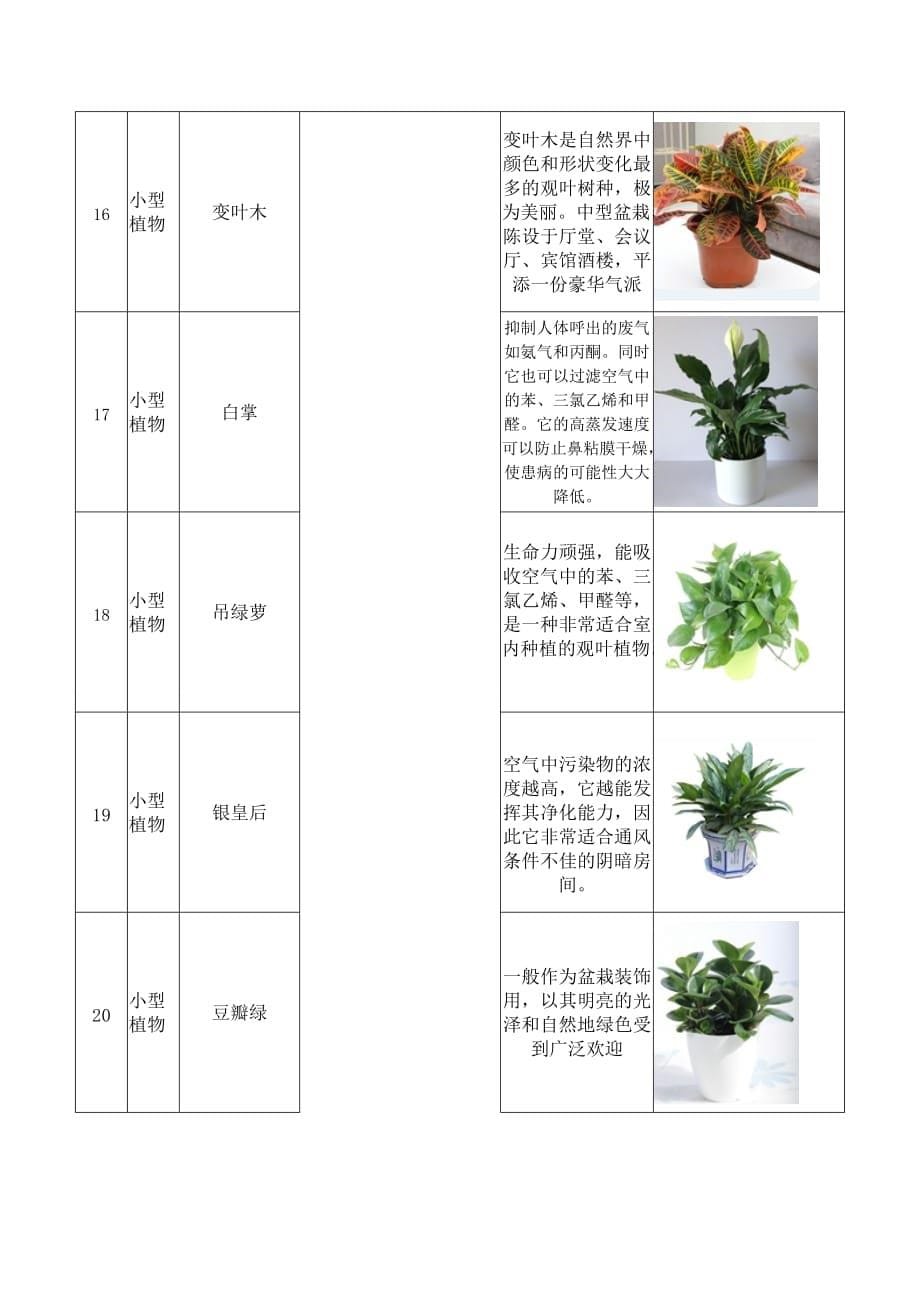 办公室盆栽租摆植物详细介绍_第5页