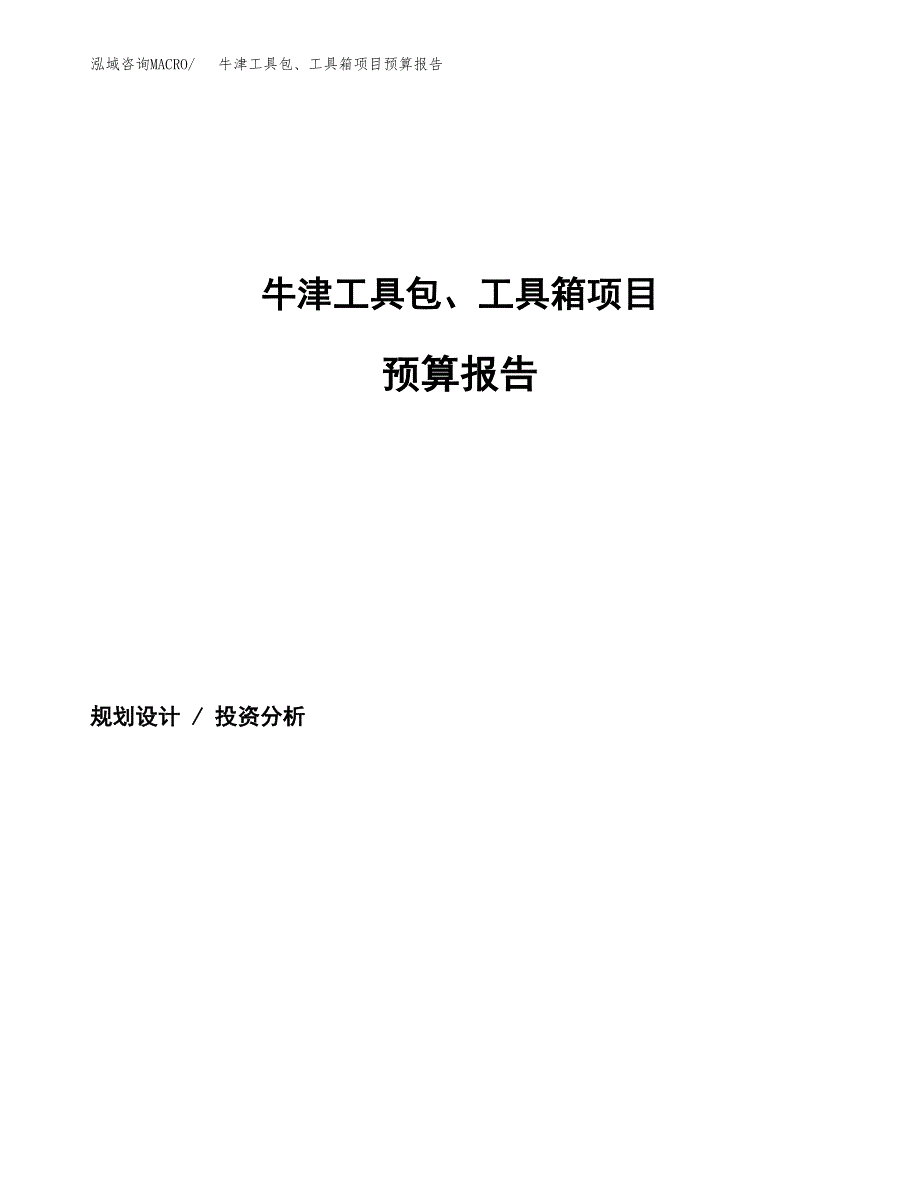 牛津工具包、工具箱项目预算报告（总投资4000万元）.docx_第1页