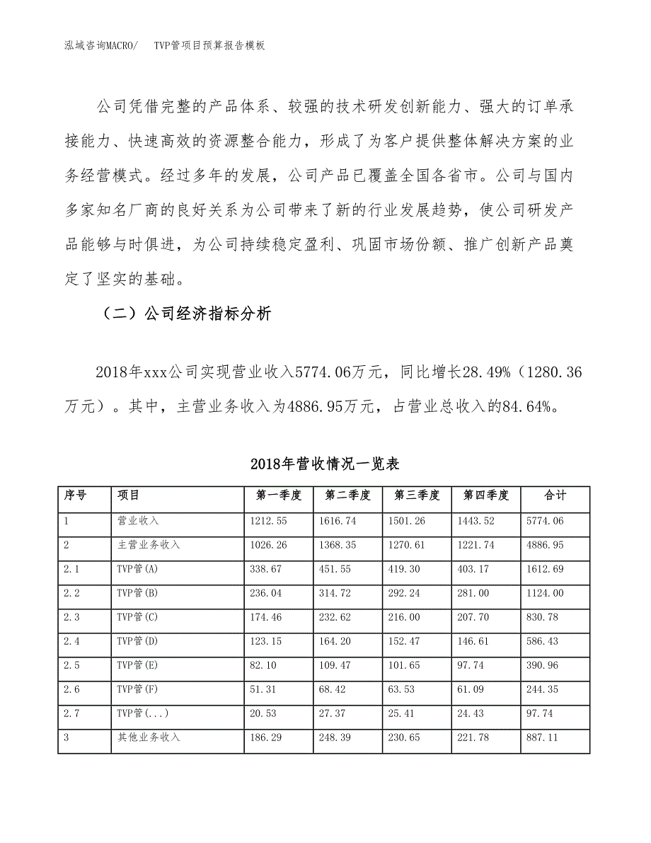 TVP管项目预算报告模板.docx_第3页