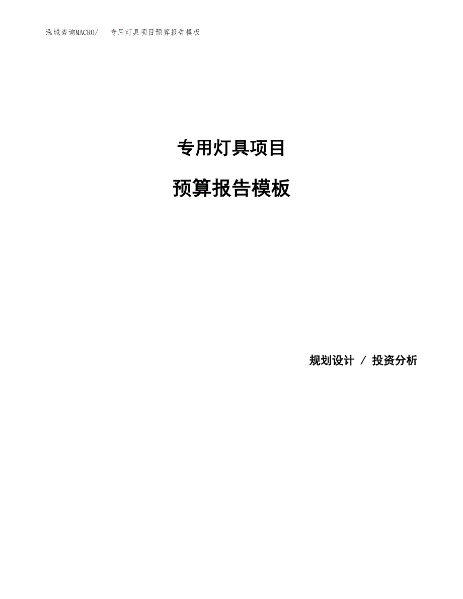 专用灯具项目预算报告模板.docx_第1页