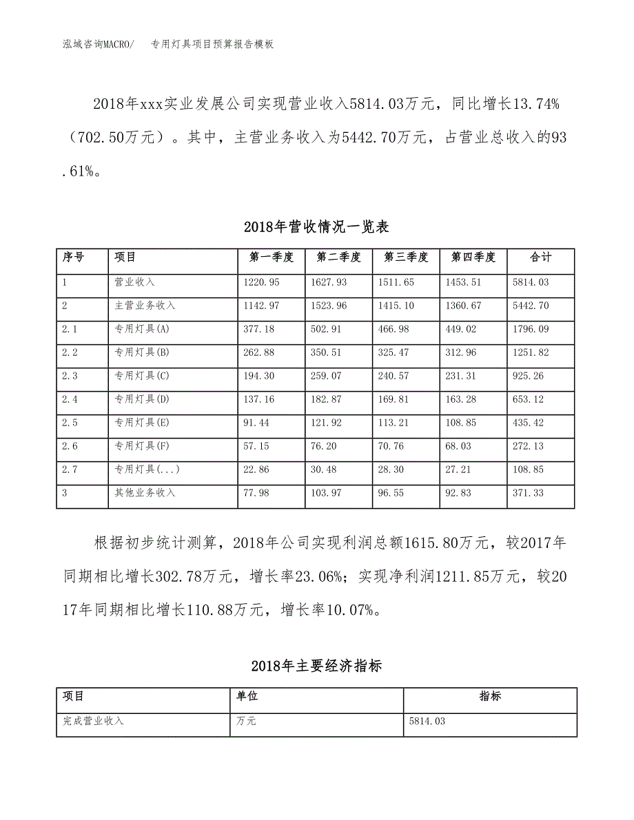 专用灯具项目预算报告模板.docx_第3页