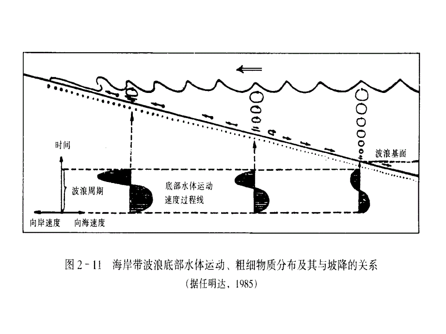 沉积岩的形成及演化_第4页