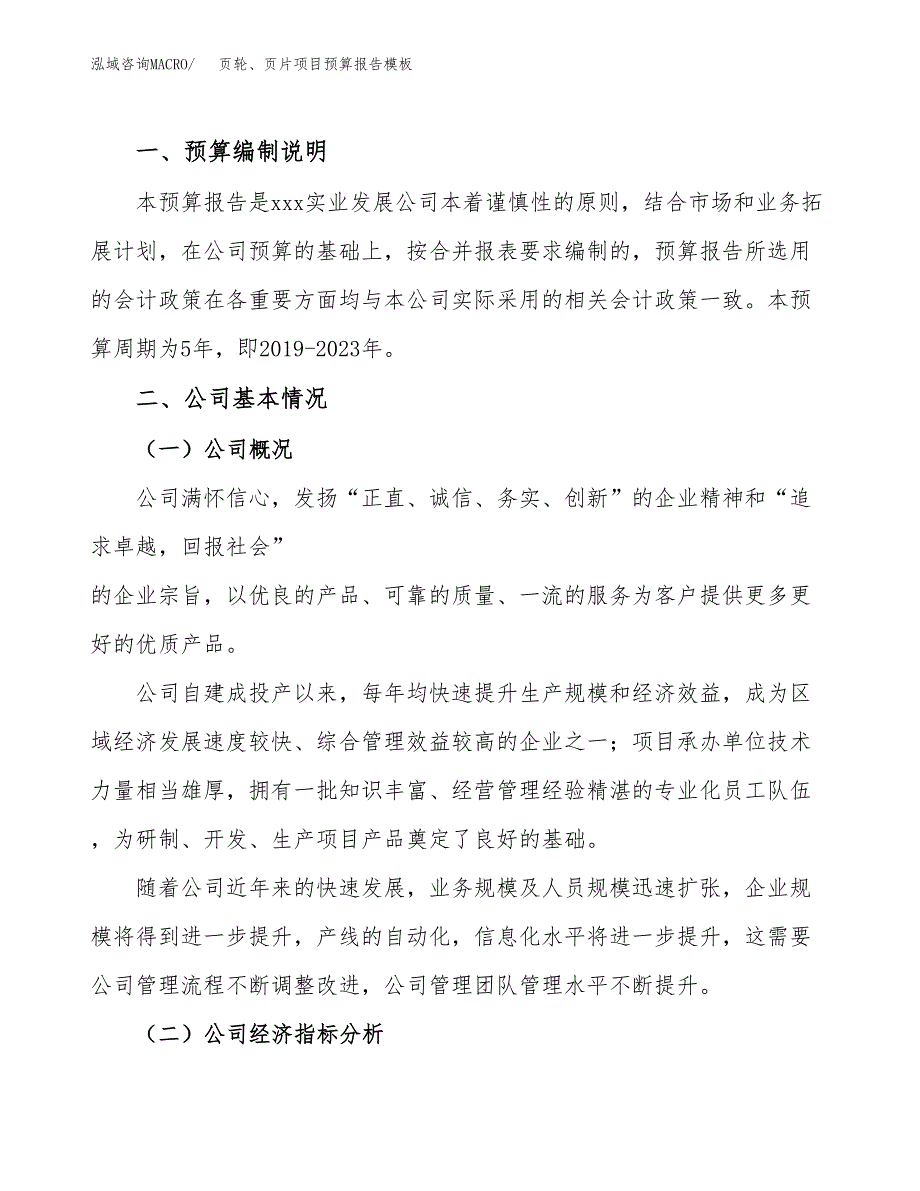 页轮、页片项目预算报告模板.docx_第2页