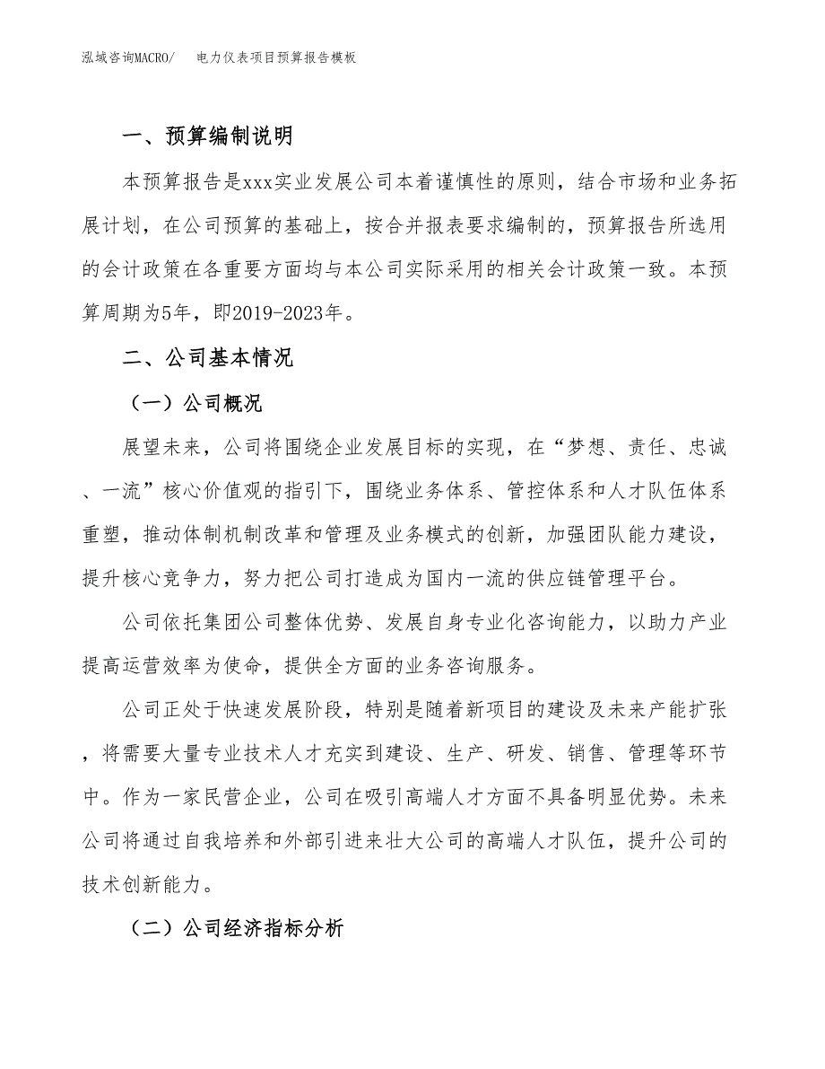 电力仪表项目预算报告模板.docx_第2页