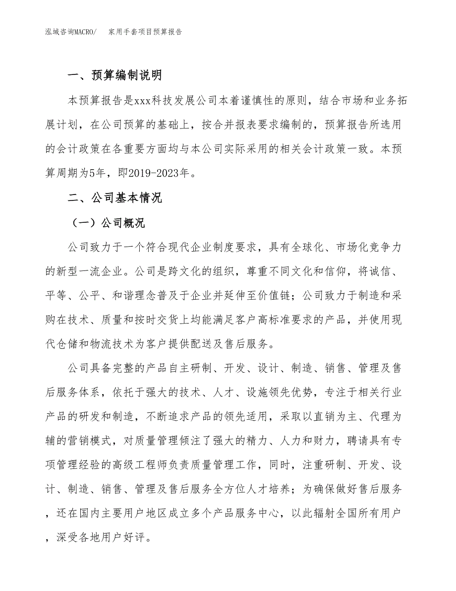 家用手套项目预算报告（总投资19000万元）.docx_第2页