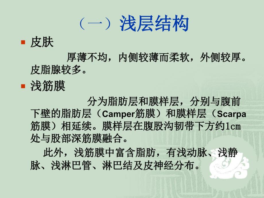 麻醉解剖学股前内侧区_第3页