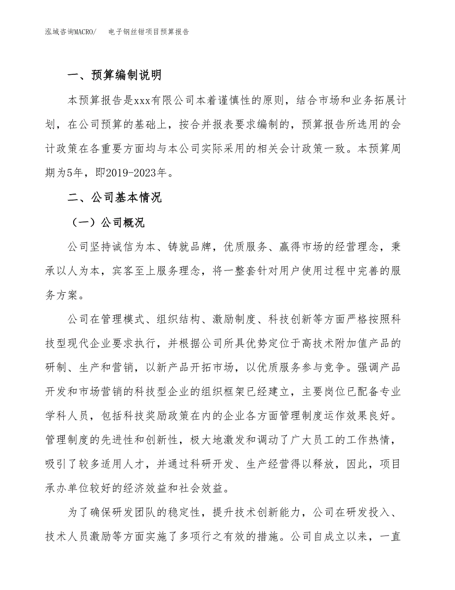 电子钢丝钳项目预算报告（总投资10000万元）.docx_第2页