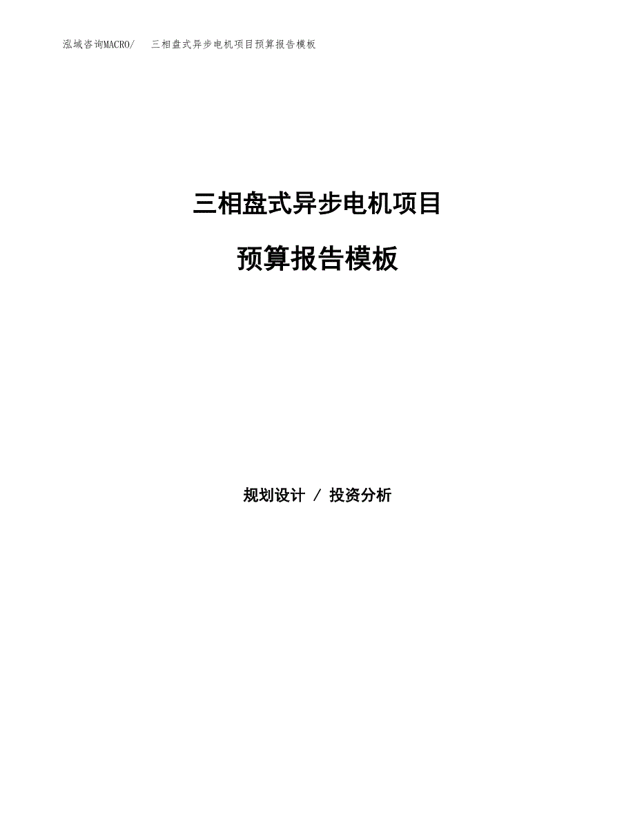 三相盘式异步电机项目预算报告模板.docx_第1页