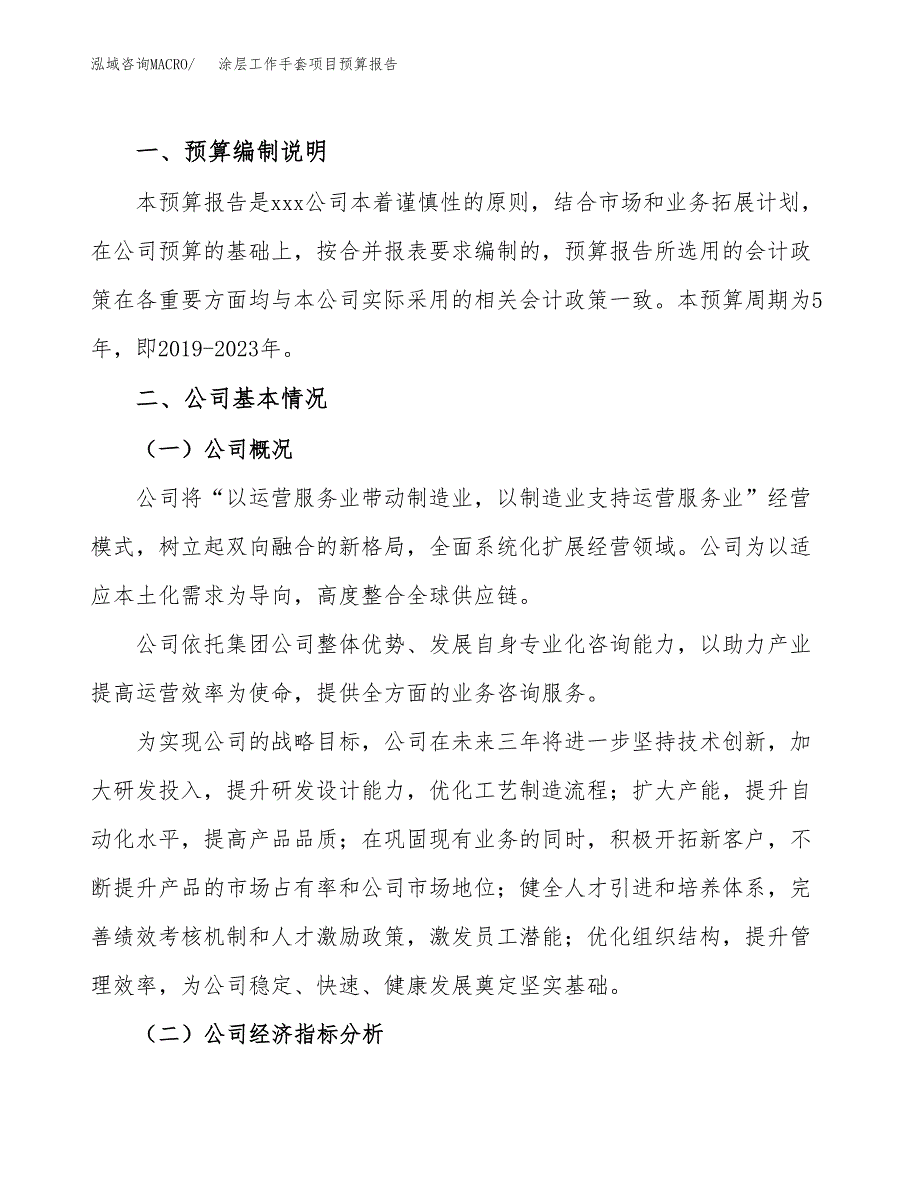 涂层工作手套项目预算报告（总投资11000万元）.docx_第2页