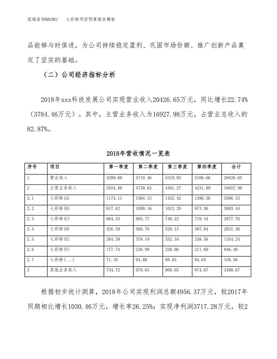 七彩粉项目预算报告模板.docx_第3页