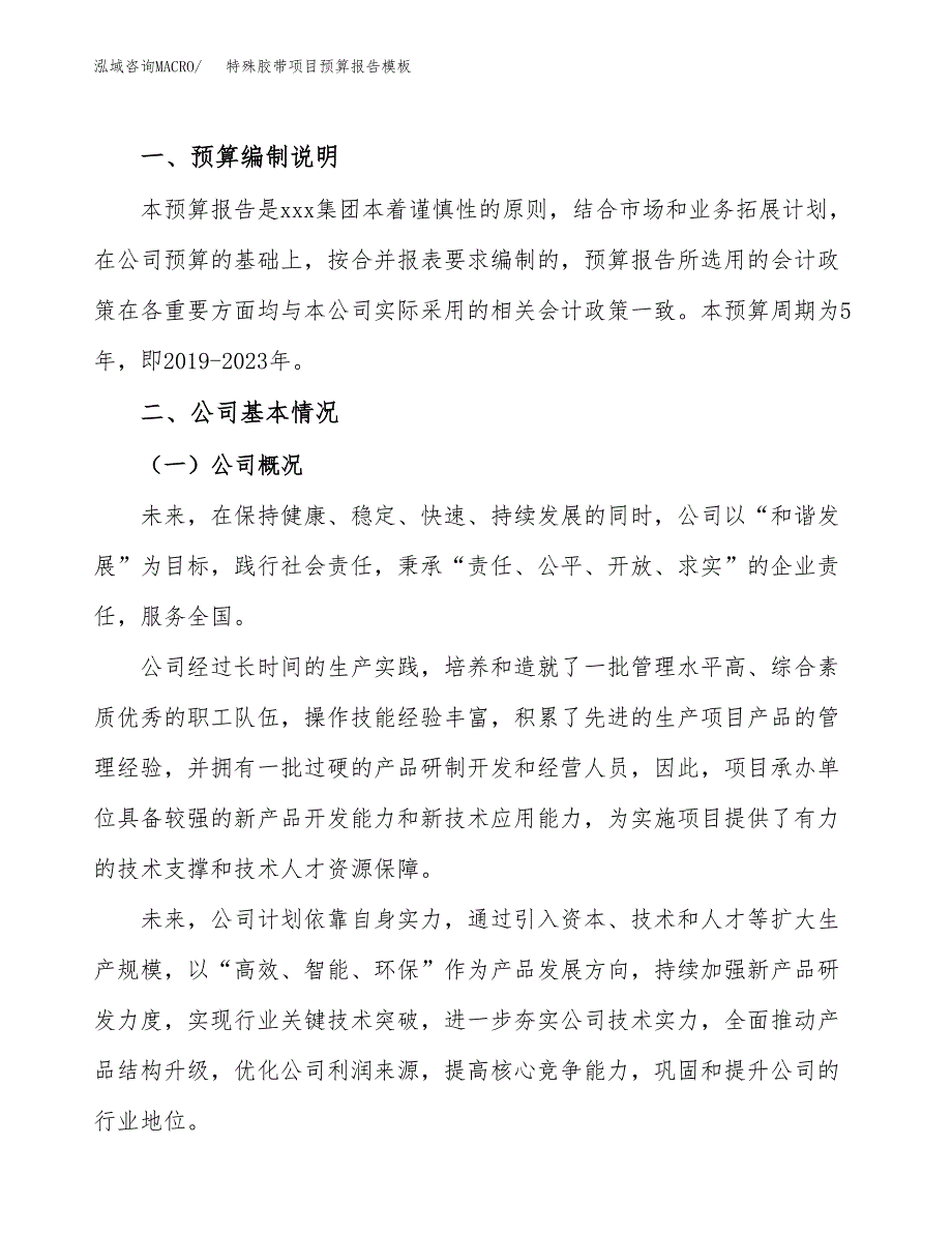 特殊胶带项目预算报告模板.docx_第2页