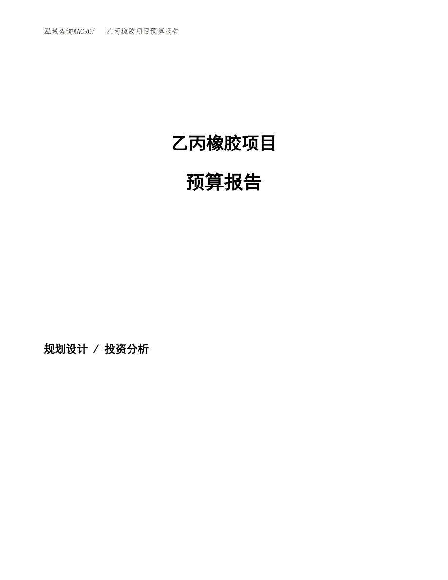 乙丙橡胶项目预算报告（总投资10000万元）.docx_第1页