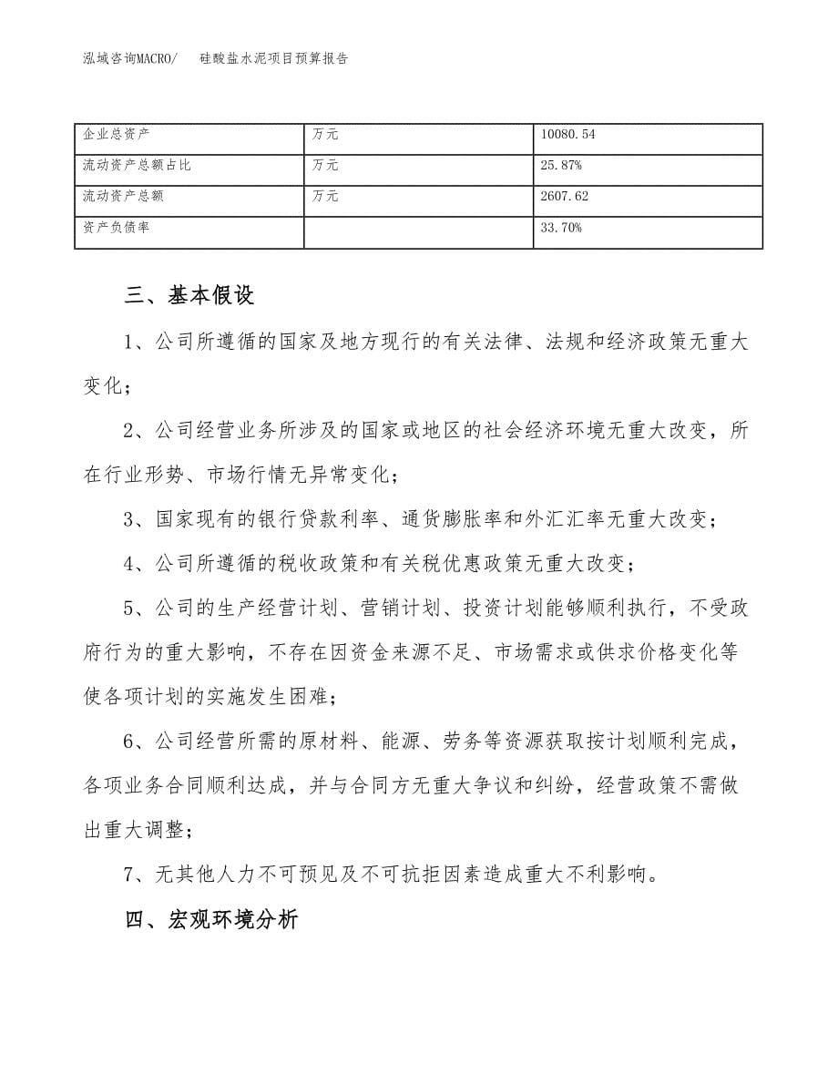 硅酸盐水泥项目预算报告（总投资4000万元）.docx_第5页