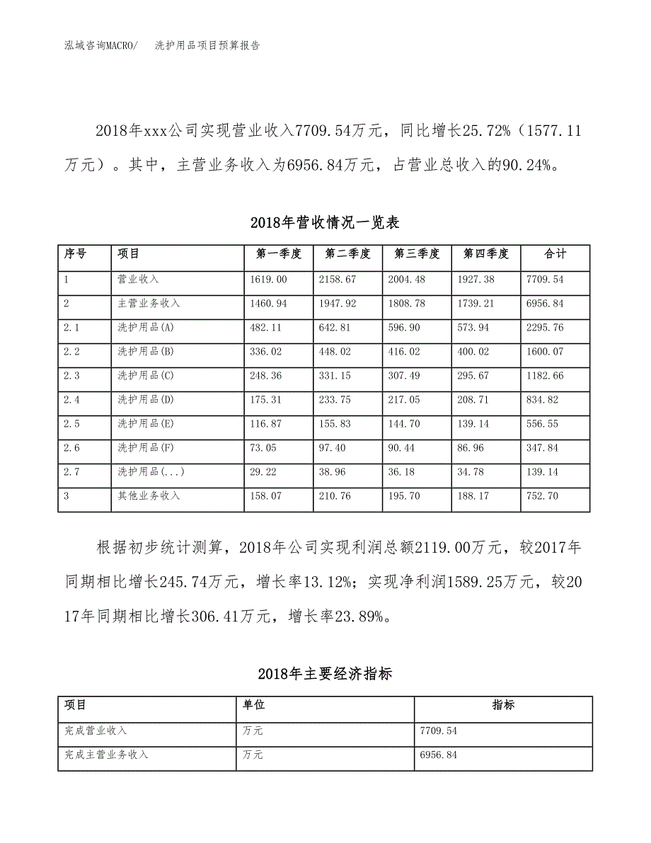 洗护用品项目预算报告（总投资13000万元）.docx_第3页