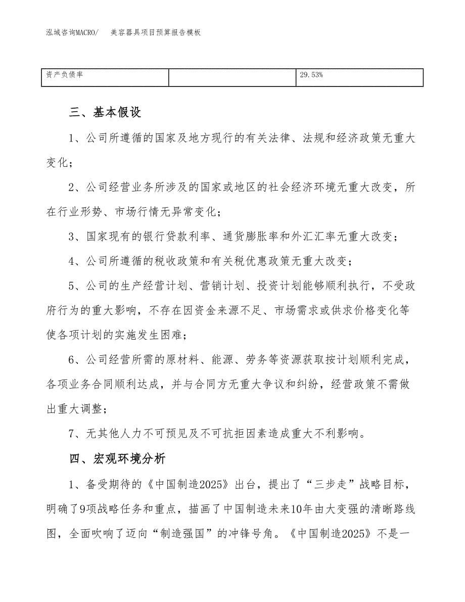 美容器具项目预算报告模板.docx_第5页