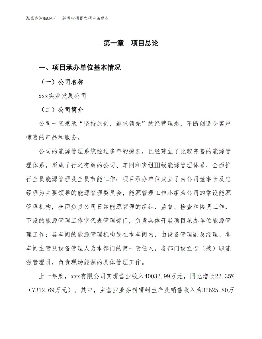 斜嘴钳项目立项申请报告（总投资21000万元）_第2页