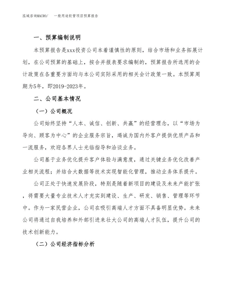 一般用途软管项目预算报告（总投资18000万元）.docx_第2页