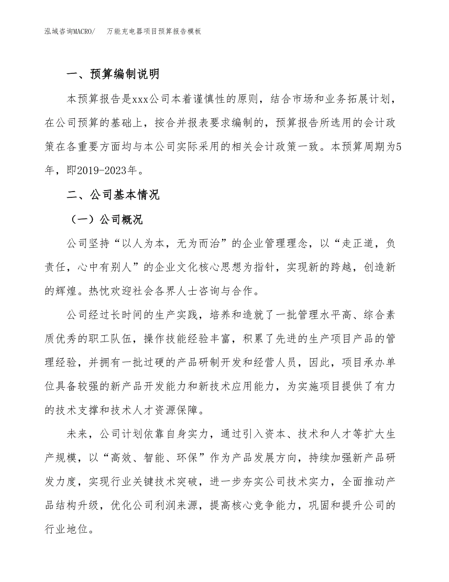 万能充电器项目预算报告模板.docx_第2页